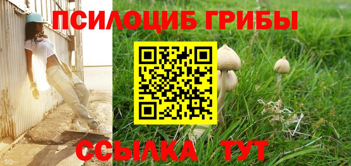 Галлюциногенные грибы MAGIC MUSHROOMS Кропоткин