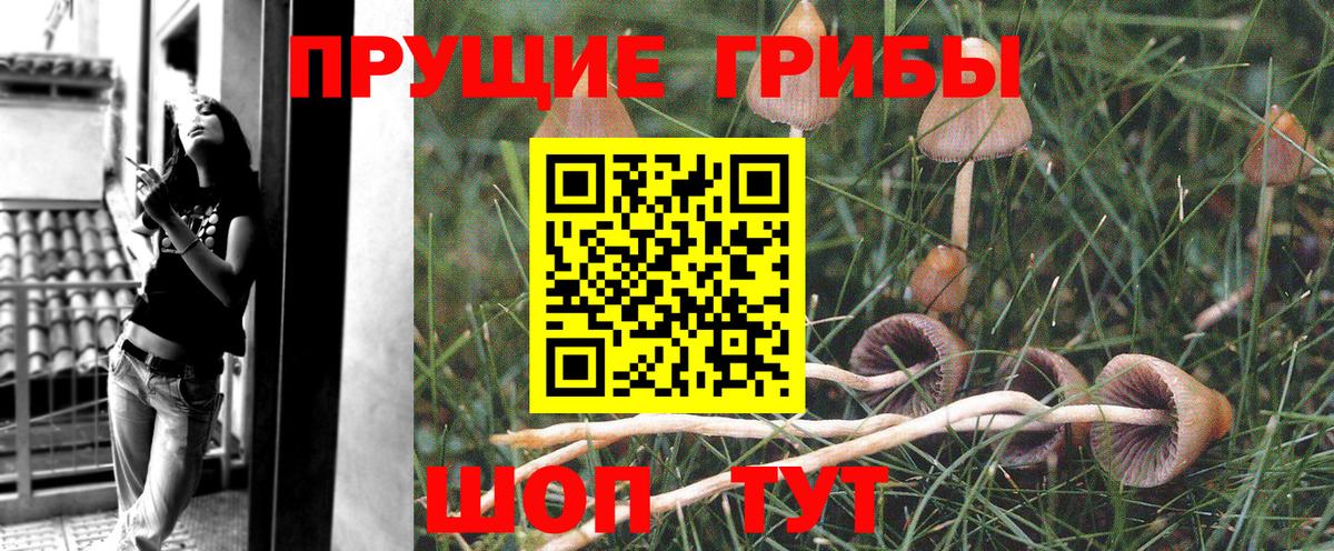 Псилоцибиновые грибы ЛСД  Вход с VPN  Кропоткин 